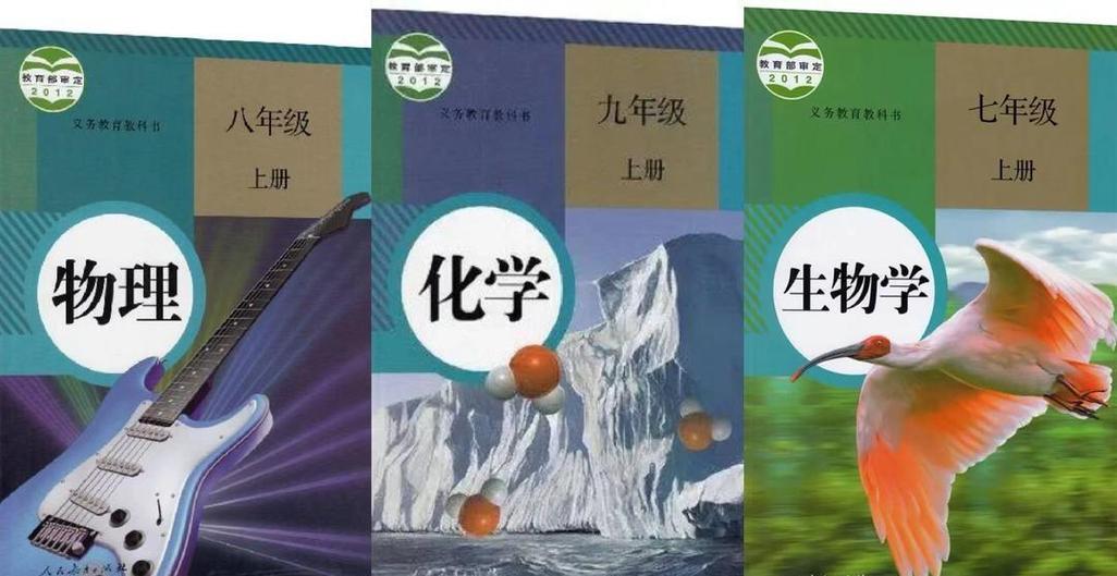 高中生物难还是政治难游戏截图
