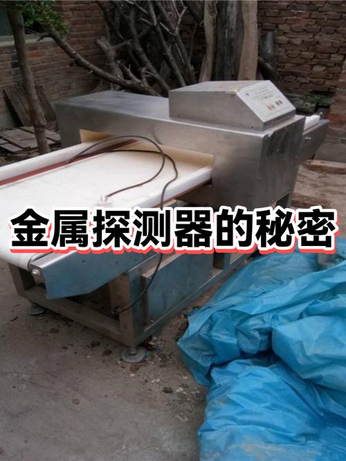 2米金属探测器价格游戏截图
