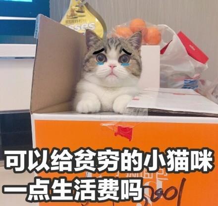 小猫停车收费标准缩略图