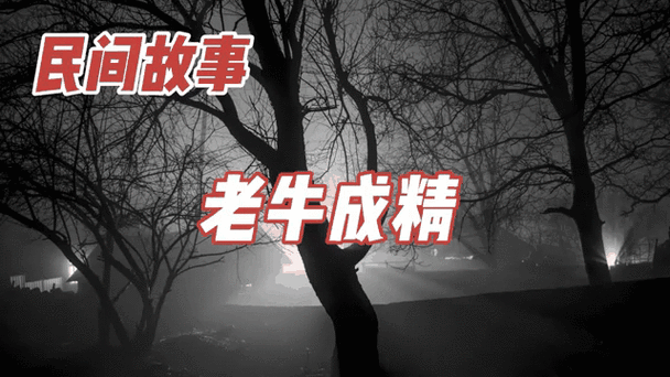 一个真实的民间故事缩略图