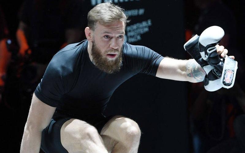 ufc229视频完整版游戏截图