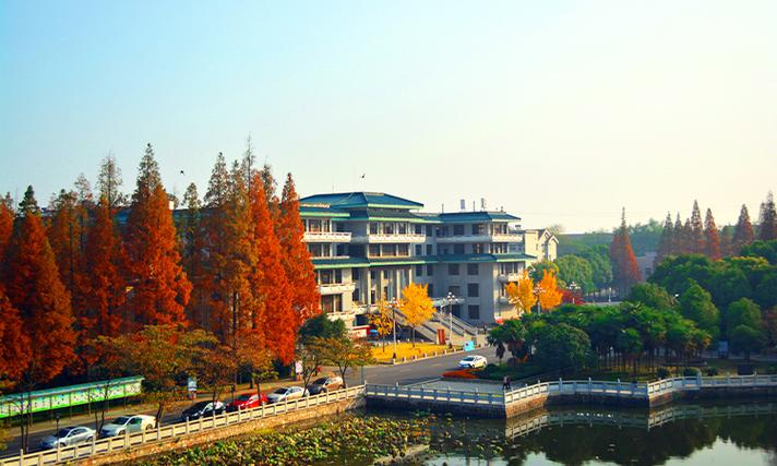 长江大学文理学院网站游戏截图