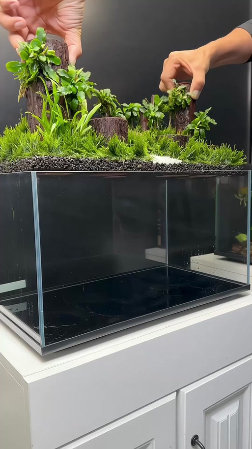 造景鱼缸一般多少钱缩略图