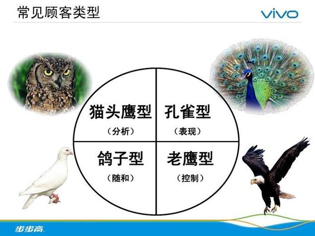 孔雀型四种性格类型测试缩略图
