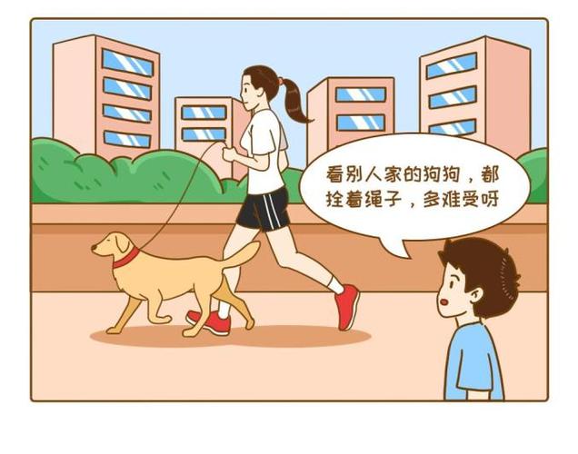 防走失绳和遛狗绳的区别缩略图