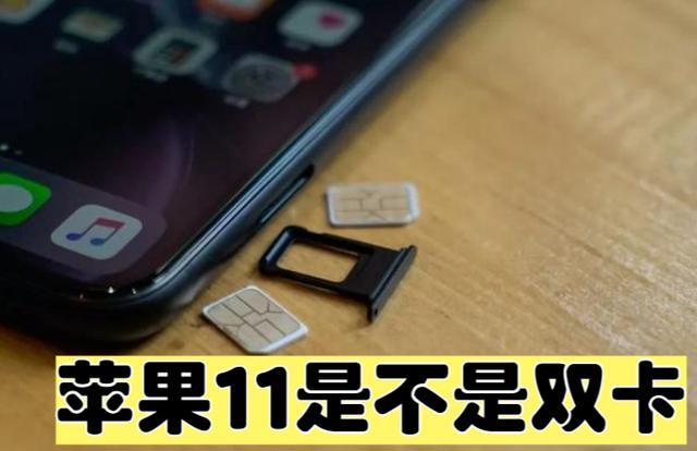 苹果11能双卡双待不游戏截图