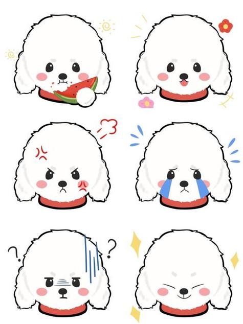 比熊动漫app下载官方图标