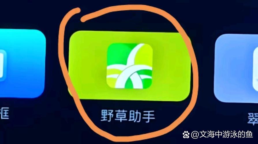 野草助手安装缩略图