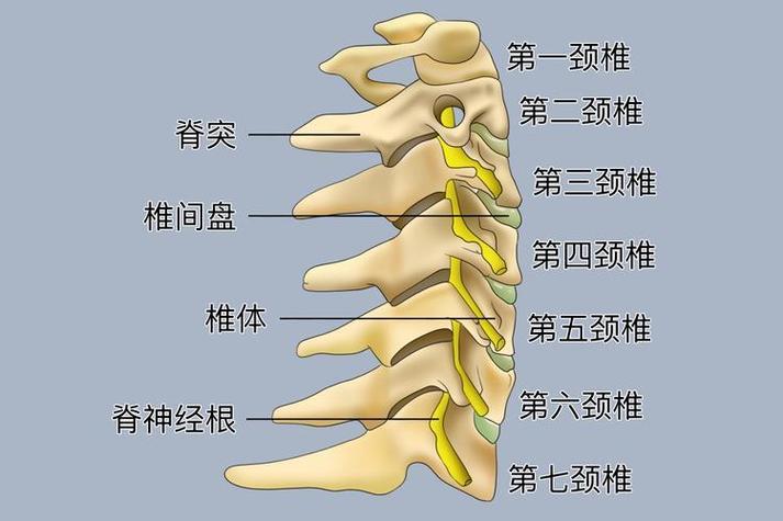 颈椎游戏截图
