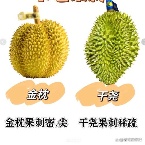 榴莲销售技巧和话术游戏截图