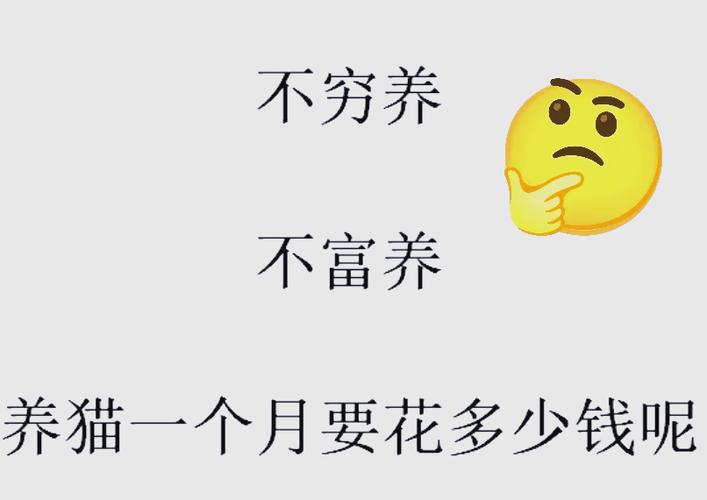 养猫的话一个月大概要多少钱游戏截图