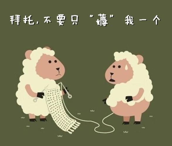 捋羊毛和薅羊毛缩略图