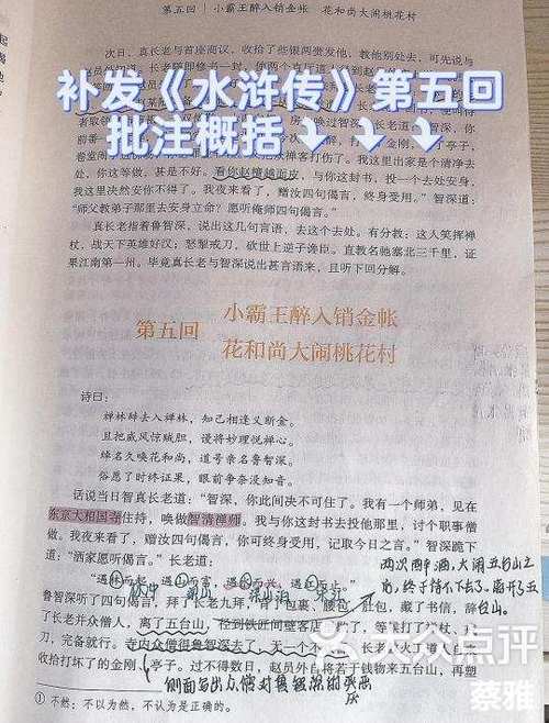 水浒y传全文缩略图
