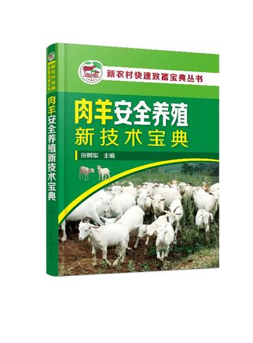 养羊视频新农村养羊游戏截图