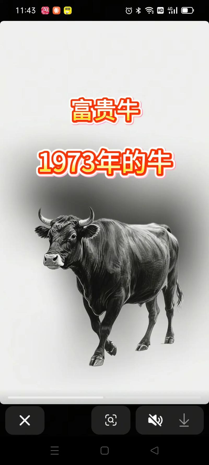 42932金牛版网缩略图
