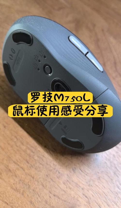 罗技鼠标使用说明游戏截图