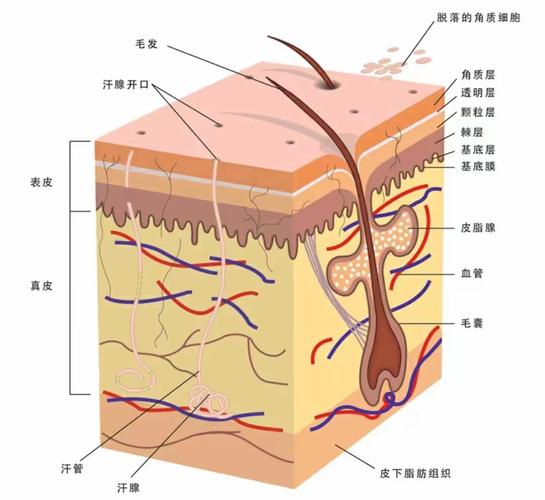 我要赢皮肤安卓版v1.0.0缩略图