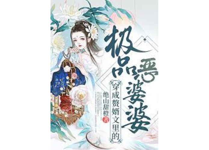 穿越成极品婆婆的小说缩略图