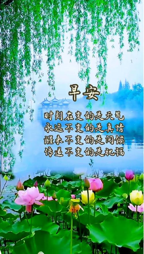 祝福语大全游戏截图