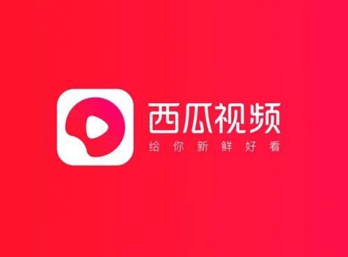 西瓜视频去广告游戏截图