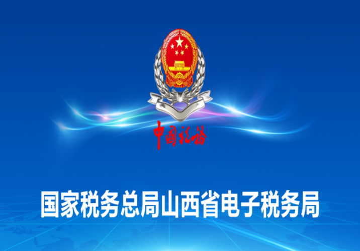 山西电子税务局官网游戏截图