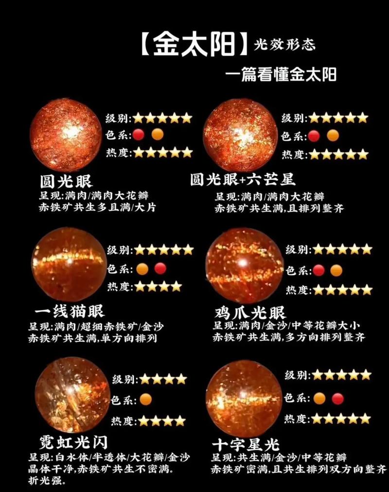 金太阳考试答案哪里有游戏截图