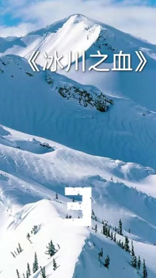 冰川小说app入口缩略图