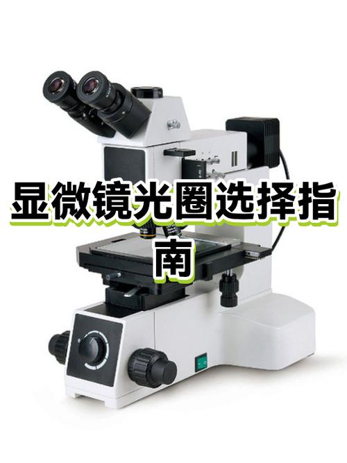 5d4如何调光圈游戏截图