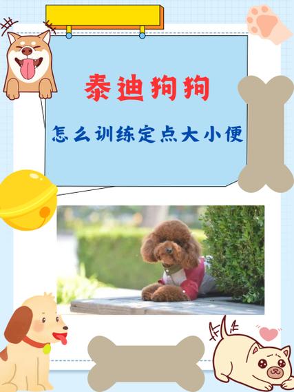 小狗怎么训练它大小便游戏截图