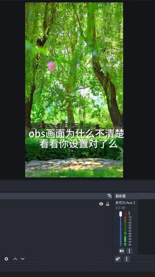 obs画质模糊怎么调游戏截图