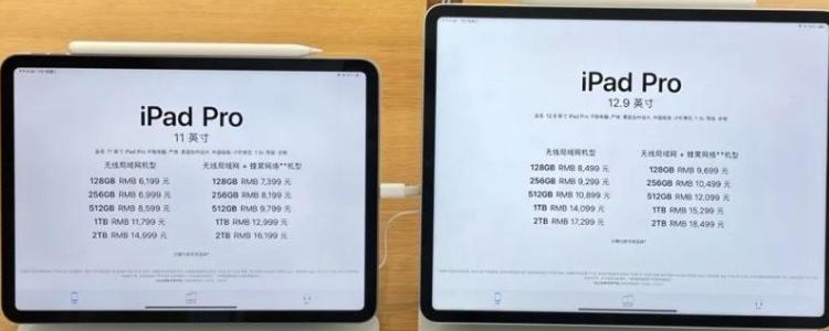 ipadpro11寸长宽多少厘米游戏截图