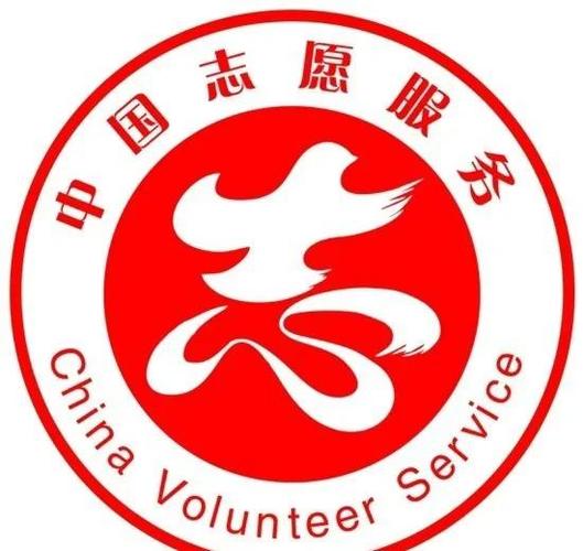 中国志愿者网官网入口缩略图