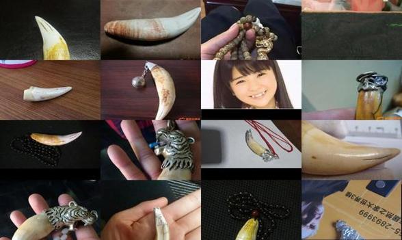 虎牙守护多少钱一个月缩略图