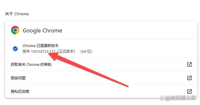 谷歌浏览器升级在哪里缩略图