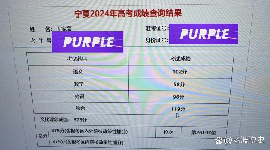 宁夏考试成绩查询入口缩略图
