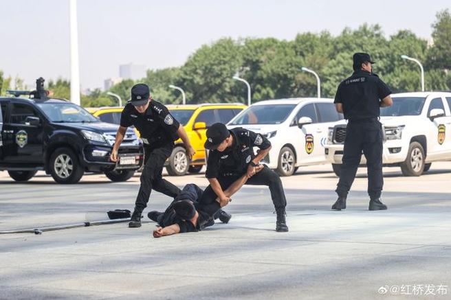 什么情况下特警会出警游戏截图