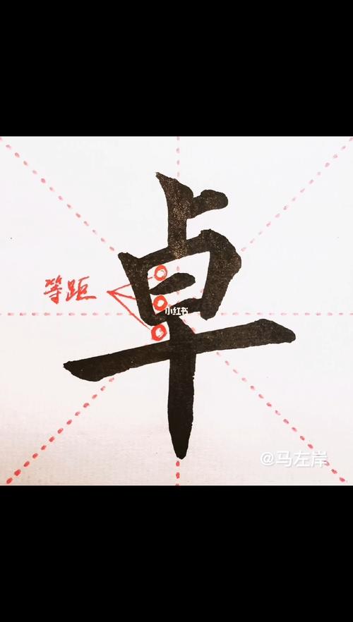 twitter2019安卓最新版缩略图