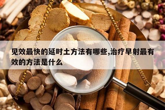 见效最快的延时土方法有哪些游戏截图