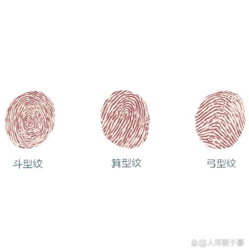 为什么添加指纹失败