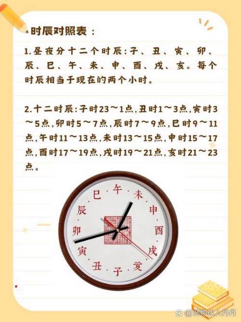 昼夜是从几点开始游戏截图