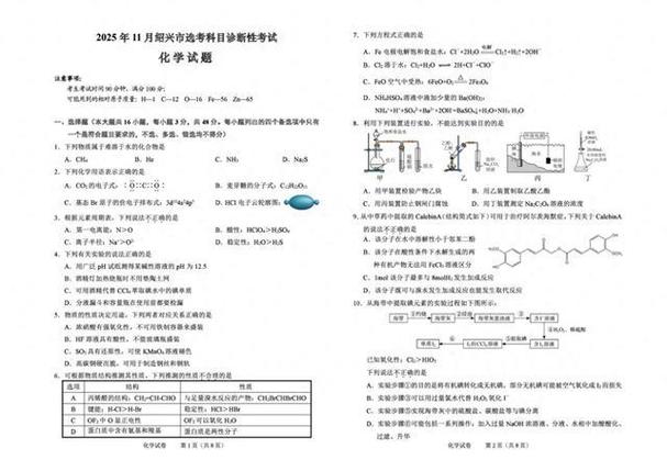 试卷真题网站免费游戏截图