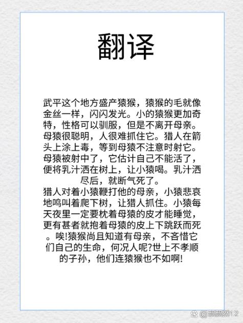 翻译成文言文在线翻译器缩略图