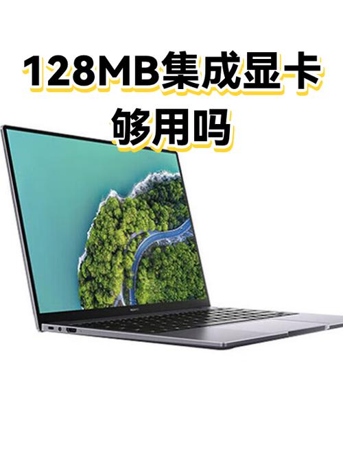 集成显卡128mb够用吗游戏截图