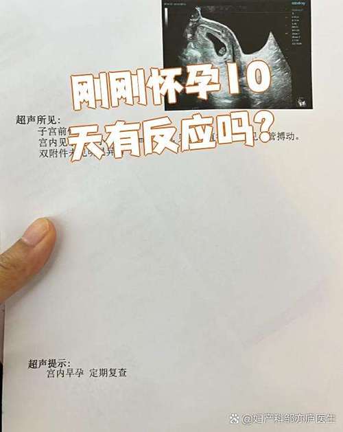验孕棒怀孕图片一深一浅游戏截图