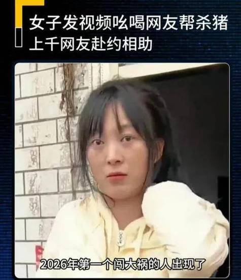 呆呆全集缩略图