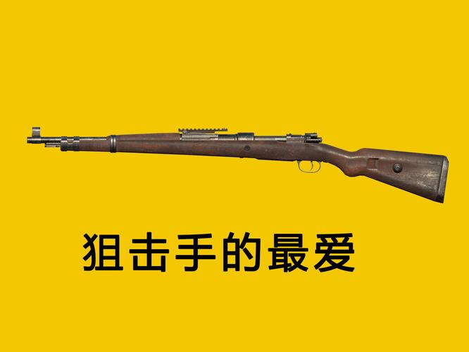 绝地求生dbs是什么枪游戏截图