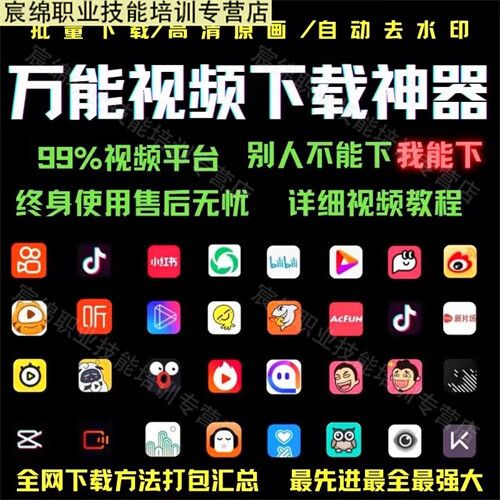 抖音短视频去水印解析网站游戏截图