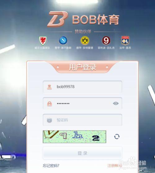旧版BOB·体育综合APP下载缩略图