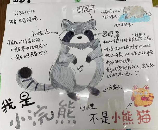 浣熊阅读理解答案游戏截图