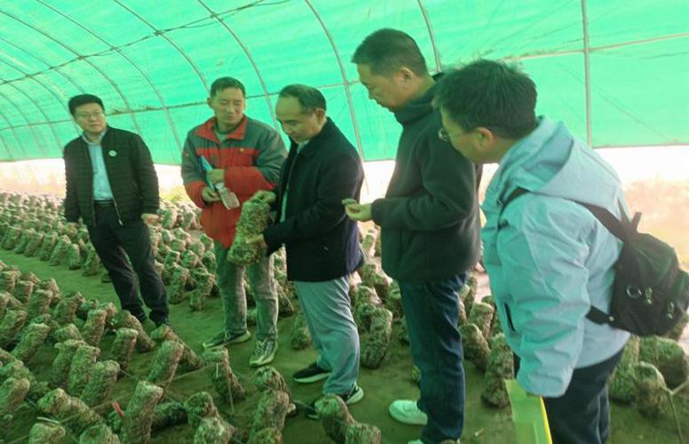 蘑菇技术培训图标